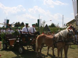 Schützenfest 2008